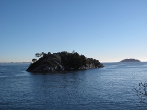 whyte-islet